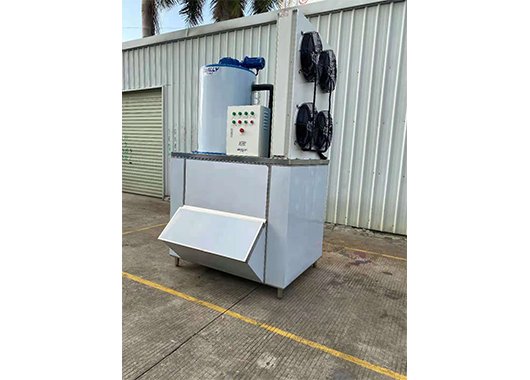 Case of 3 ton flake ice machine in an aquatic product market in Guangxi